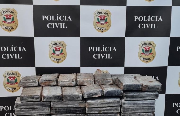 DEIC DE SÃO BERNARDO APREENDE MAIS DE 80 TIJOLOS DE COCAÍNA