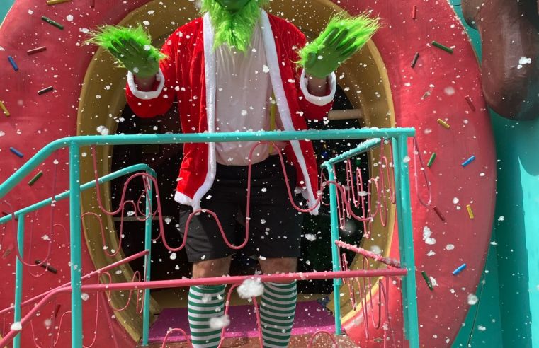 TÁ NEVANDO NO CENTRO DE SÃO BERNARDO? EM DEZEMBRO, TEM GRINCH E PROMOÇÃO NA LOJA DE DONUTS MAIS AMADA DA CIDADE!