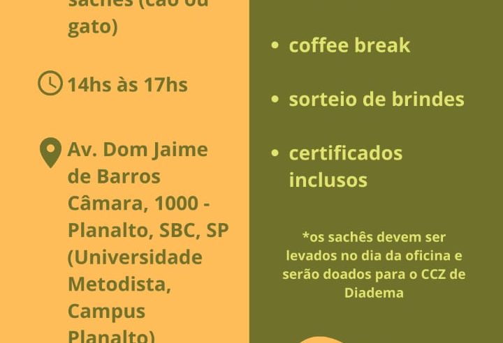 1° OFICINA PRÁTICA PRESENCIAL DE ENRIQUECIMENTO AMBIENTAL PARA CÃES E GATOS ACONTECE NESTA TERÇA (18)