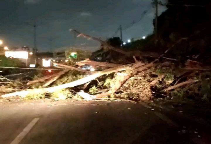 ACIDENTE NO KM 12 DA ANCHIETA CAUSA QUEDA DE ÁRVORE E DE FIAÇÃO; RODOVIA FICOU BLOQUEADA NOS DOIS SENTIDOS