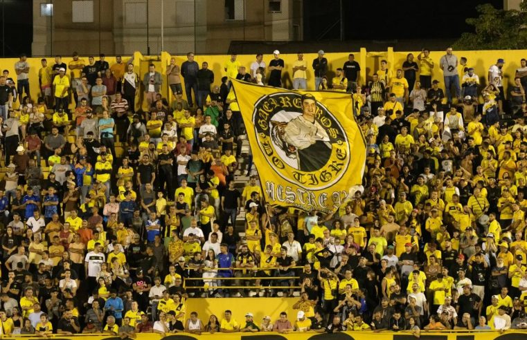 DOMINGO DE DECISÃO: SÃO BERNARDO FC ENFRENTA MIRASSOL NA FINAL DA TAÇA INDEPENDÊNCIA NO 1° DE MAIO