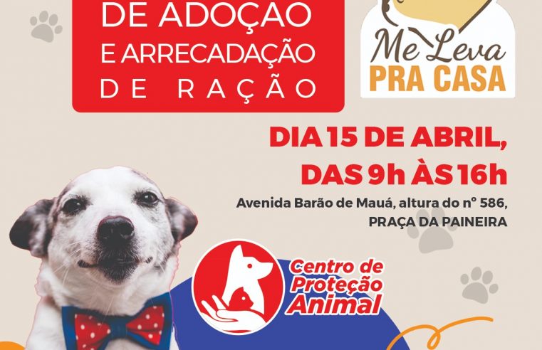 FIM DE SEMANA EM MAUÁ TEM FEIRA DE ADOÇÃO DE CÃES E GATOS