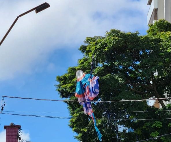 BALÃO CAI E FICA PRESO EM ÁRVORE NO CENTRO DE SÃO BERNARDO