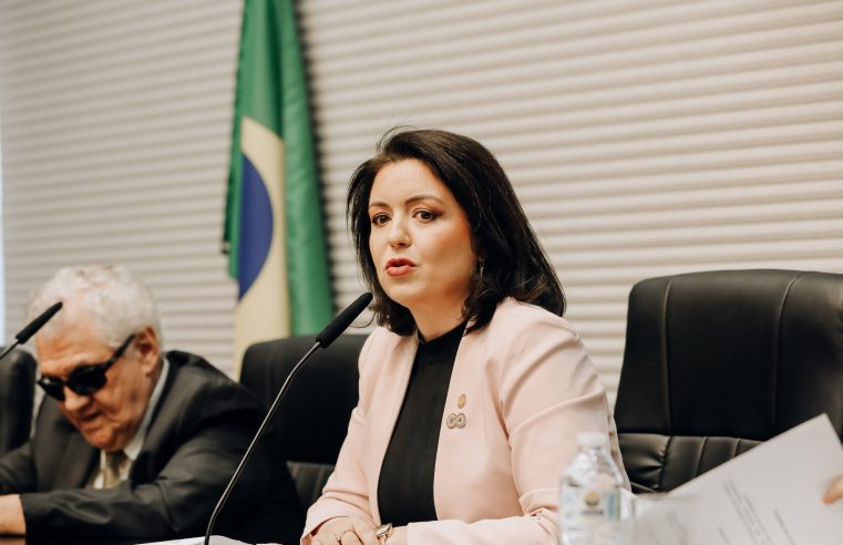 COMISSÃO DE DEFESA DOS DIREITOS DA PESSOA COM DEFICIÊNCIA ELEGE ANDRÉA WERNER COMO PRESIDENTE
