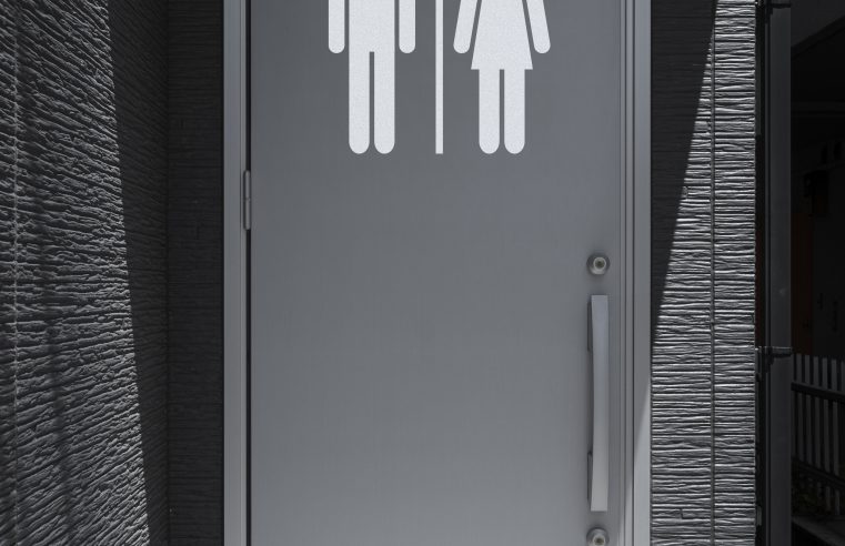 TRIBUNAL DE JUSTIÇA DE SÃO PAULO DERRUBA LEI MUNICIPAL DE SÃO BERNARDO QUE PROIBIA BANHEIROS UNISSEX