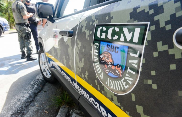 EXTRAÇÃO ILEGAL DE PALMITO JUÇARA É INTERROMPIDA PELA GUARDA AMBIENTAL DE SÃO BERNARDO