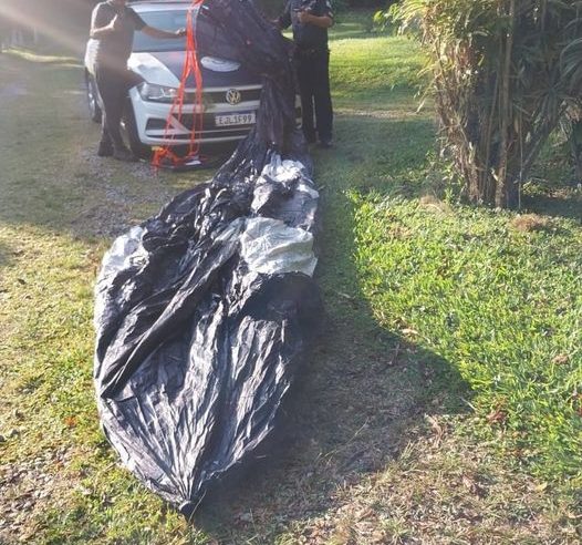 GCM AMBIENTAL DE SBC APREENDE BALÕES GIGANTES EM CHAMAS E EVITA DESASTRE NO TATETOS