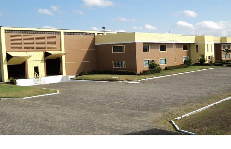 MEIO AMBIENTE: EVER GREEN APOSTA NA PRODUÇÃO MAIS SUSTENTÁVEL