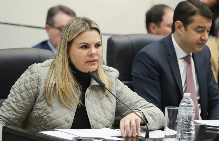 APROVADO REQUERIMENTO PARA AVALIAÇÃO DOS SERVIÇOS DA ENEL NOS MUNICÍPIOS DO ABC PAULISTA