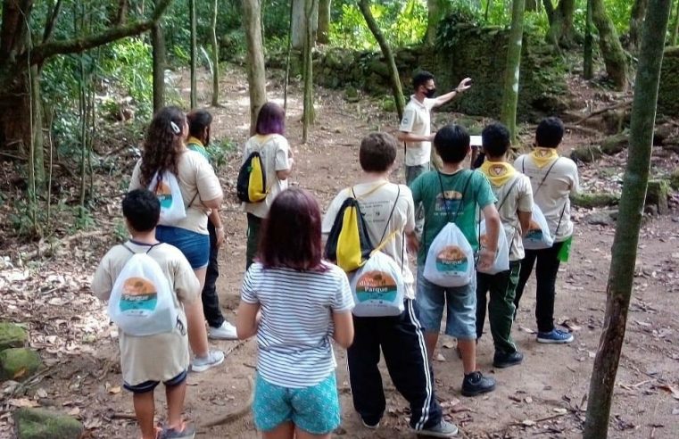 CINCO DESTINOS VERDES PARA ENTRETER A CRIANÇADA NAS FÉRIAS