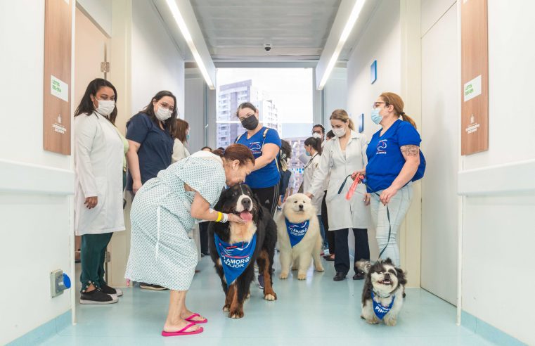 SÃO BERNARDO AMPLIA TRATAMENTO HUMANIZADO DE PET TERAPIA PARA O HOSPITAL DE URGÊNCIA