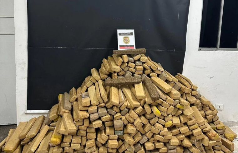 EM DIADEMA, POLÍCIA CIVIL APREENDE MAIS DE MEIA TONELADA DE MACONHA ESCONDIDA EM CARGA DE FRANGOS