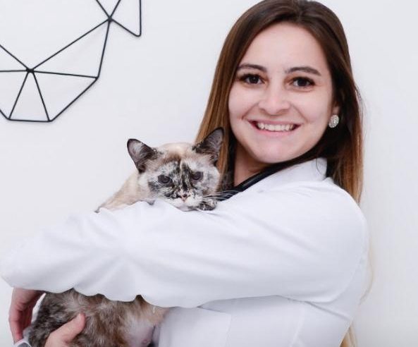 DRA. CLARISSA KLEIN ENSINA COMO PREPARAR A CASA PARA RECEBER UM GATO ADOTADO