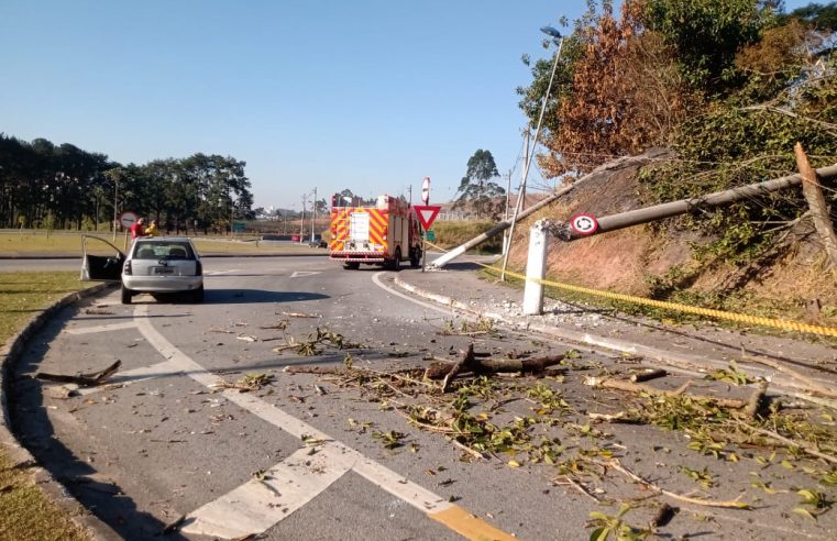 ÁRVORE GIGANTE EM CHAMAS CAI, ATINGE VEÍCULO CORSA E DERRUBA DOIS POSTES NA ENTRADA DO PINHEIRINHO