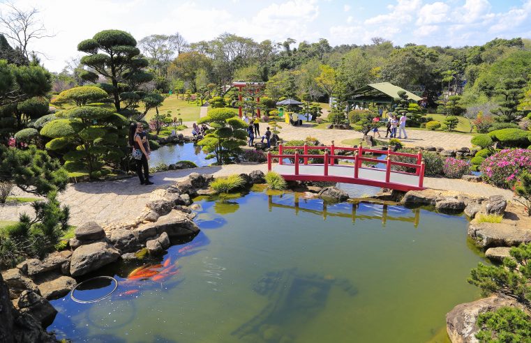 PARQUE MAEDA INICIA RESERVAS PARA A FESTA DE RÉVEILLON 2024