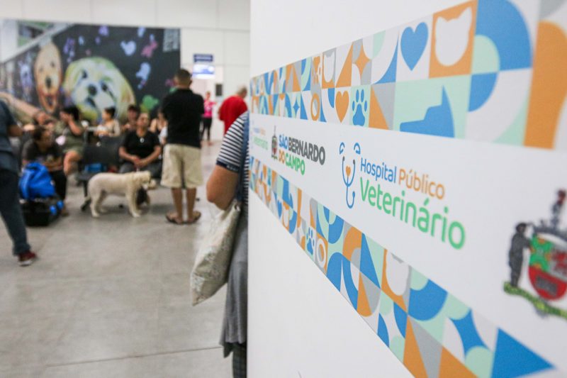 HOSPITAL VETERINÁRIO DE SÃO BERNARDO CHEGA AO CENTÉSIMO ATENDIMENTO AMBULATORIAL
