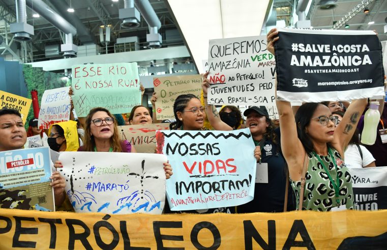 GREENPEACE BRASIL LANÇA CAMPANHA DE DOAÇÃO E APOIADORES GANHARÃO O CALENDÁRIO GREENPEACE 2024 – A NATUREZA AO REDOR