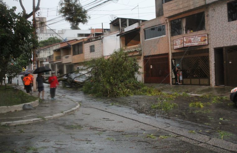 BOMBEIROS SALVAM PESSOAS PRESAS EM CARRO APÓS QUEDA DE ÁRVORE EM DIADEMA
