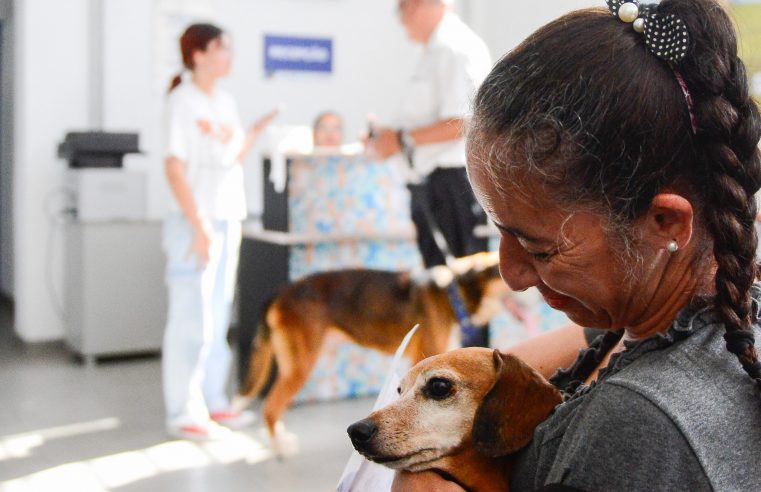 HOSPITAL PÚBLICO VETERINÁRIO DE SÃO BERNARDO COMPLETA 1.000 CONSULTAS OFERTADAS