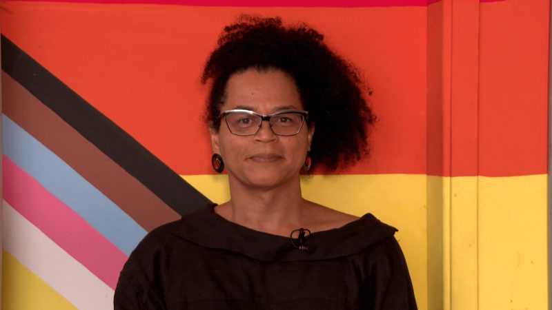 DECLARAÇÃO UNIVERSAL DOS DIREITOS HUMANOS PAUTA CAMINHOS DA REPORTAGEM