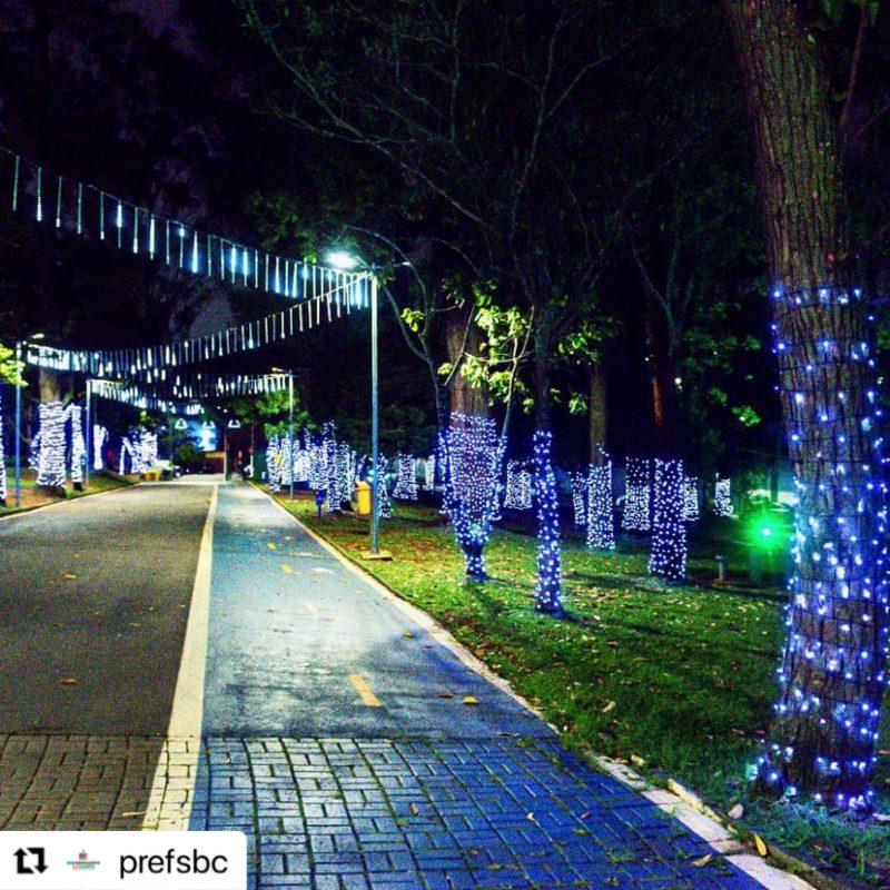 MÚSICA E MAGIA DE NATAL NO PARQUE CHÁCARA SILVESTRE: CONFIRA A PROGRAMAÇÃO DO FINAL DE SEMANA