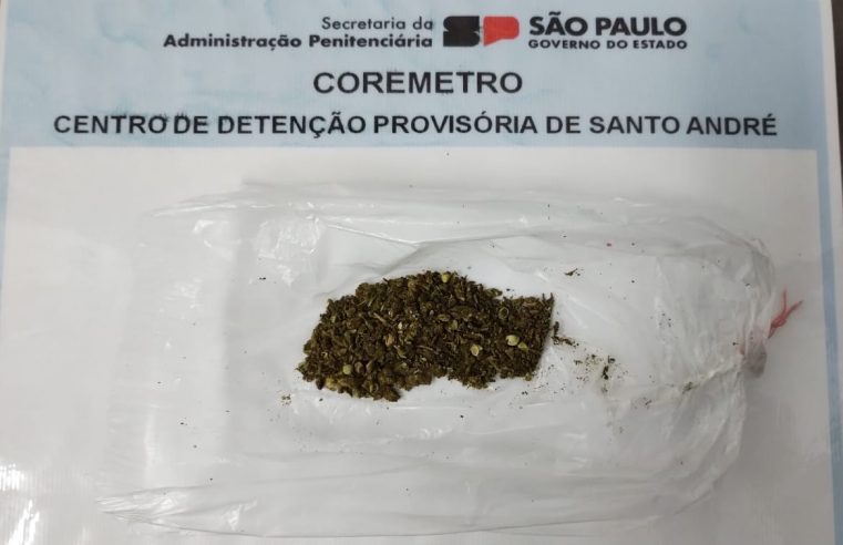 POLICIAIS PENITENCIAIS DE SANTO ANDRÉ FLAGRAM VISITANTE COM DROGA EM TOP