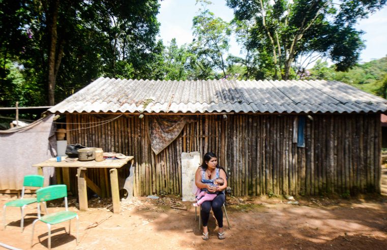 SÃO BERNARDO CAPTA RECURSOS PARA IMPLANTAR SISTEMAS AGROFLORESTAIS EM ALDEIAS INDÍGENAS