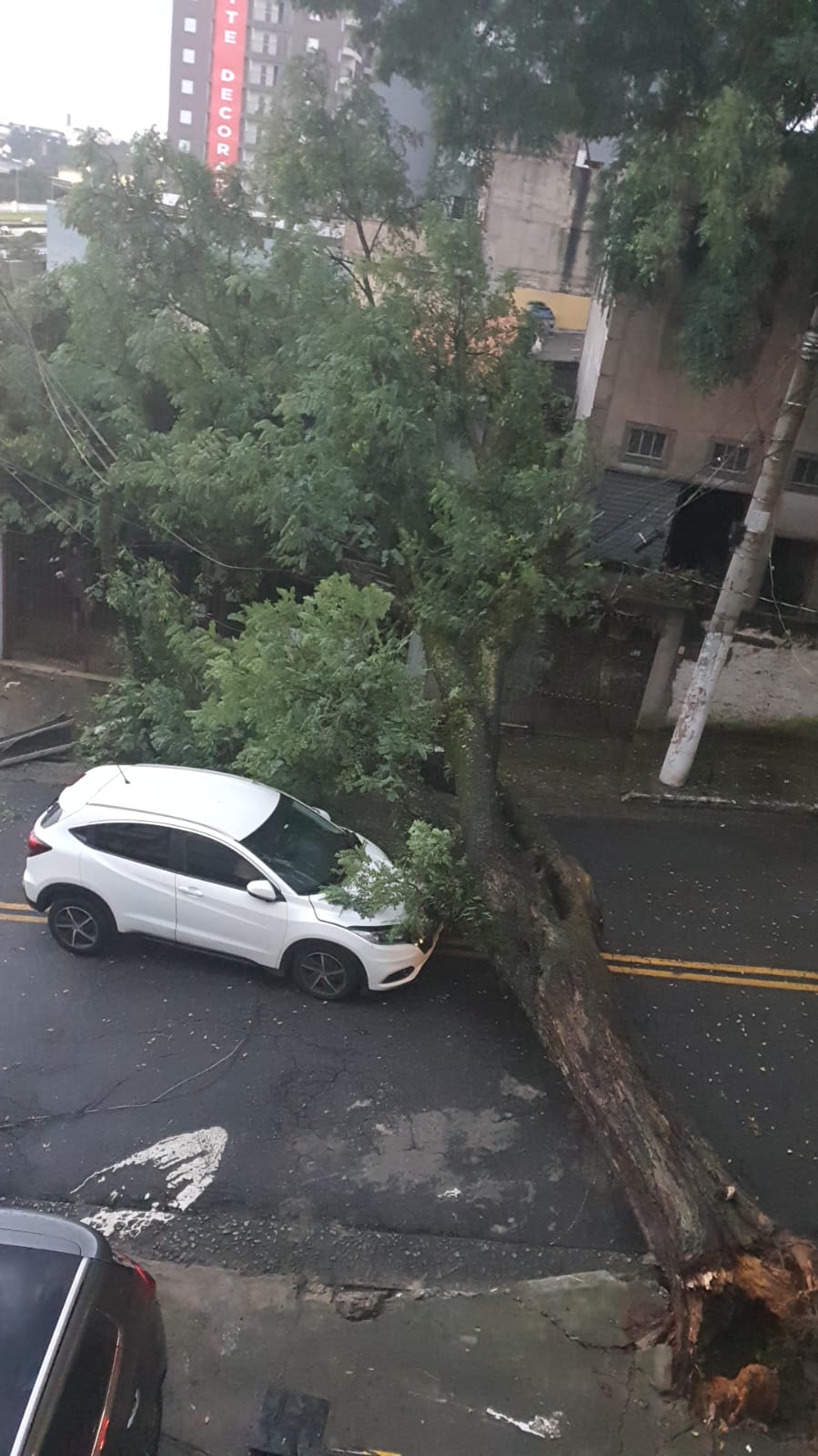 ÁRVORE ATINGE VEÍCULO E CAUSA INTERRUPÇÃO DE ENERGIA NA VILA MUSSOLINI