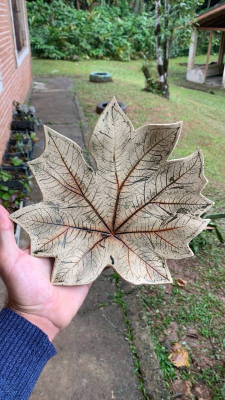 PEÇAS DE CERÂMICA INSPIRADAS NA MATA ATLÂNTICA VIRAM FONTE DE RENDA PARA COMUNIDADE DA ZONA RURAL DE SÃO BERNARDO