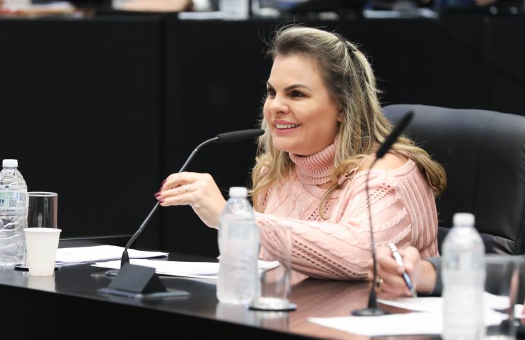 PROJETO DA DEPUTADA CARLA MORANDO QUE INCENTIVA O USO DA ENERGIA SOLAR É APROVADO NA COMISSÃO DE INFRAESTRUTURA