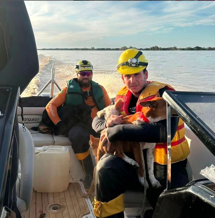 DEPUTADO DE SP É EXPULSO POR CRIMINOSOS ENQUANTO RESGATACA ANIMAIS NO RIO GRANDE DO SUL
