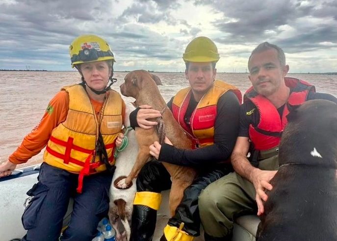 DEPUTADO DE SP É EXPULSO POR CRIMINOSOS ENQUANTO RESGATACA ANIMAIS NO RIO GRANDE DO SUL