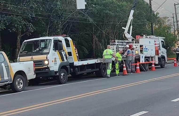 HOMEM MORRE ELETROCUTADO APÓS SUBIR EM ABACATEIRO E ENCOSTAR UMA BARRA DE ALUMÍNIO NA REDE ELÉTRICA EM RIBEIRÃO PIRES