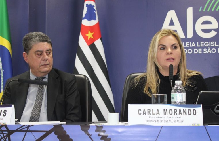 DEPUTADA CARLA MORANDO PARTICIPA DE AUDIÊNCIA PÚBLICA SOBRE SERVIÇO DE ENERGIA ELÉTRICA