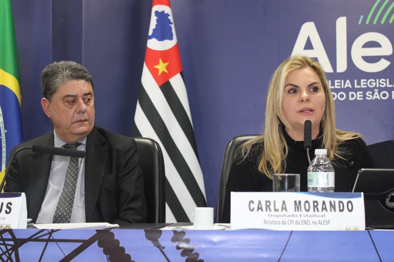 DEPUTADA CARLA MORANDO PARTICIPA DE AUDIÊNCIA PÚBLICA SOBRE SERVIÇO DE ENERGIA ELÉTRICA