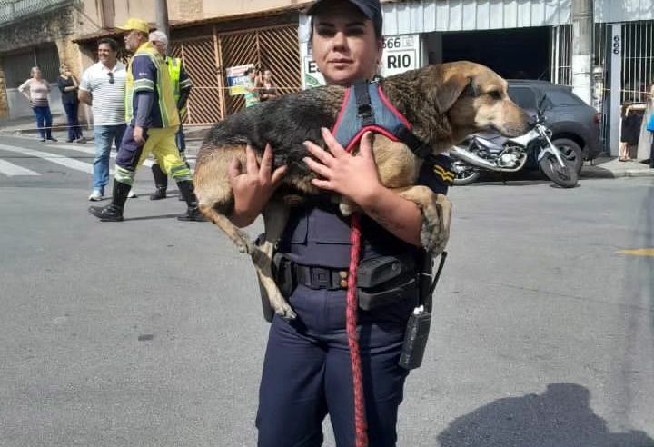 GCM ANA PAULA REALIZA DOIS RESGATES EMOCIONANTES EM UMA SEMANA EM SÃO BERNARDO