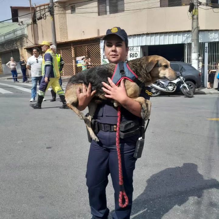 GCM ANA PAULA REALIZA DOIS RESGATES EMOCIONANTES EM UMA SEMANA EM SÃO BERNARDO