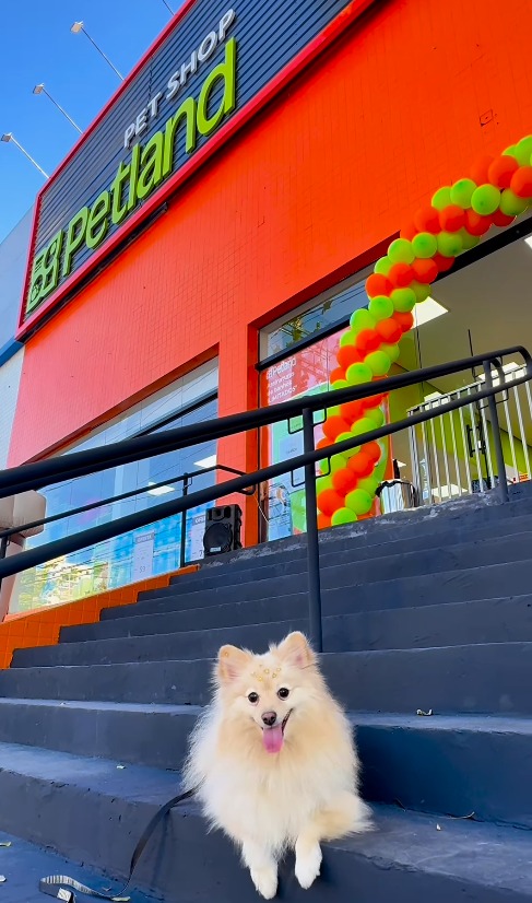 INAUGURAÇÃO DA PETLAND NO RUDGE RAMOS.