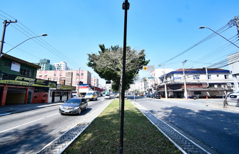 SÃO BERNARDO INICIA OBRAS DE PAVIMENTAÇÃO NA AVENIDA CAMINHO DO MAR