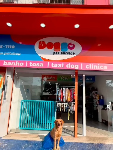 DOGGO PET SHOP: SEIS ANOS DE CRESCIMENTO E EXPANSÃO NO ABC