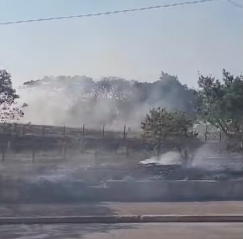 VÍDEOS REGISTRAM INCÊNDIO EM VEGETAÇÃO NO KM 16 DA RODOVIA ANCHIETA PÓXIMO AO MAX ATACADISTA