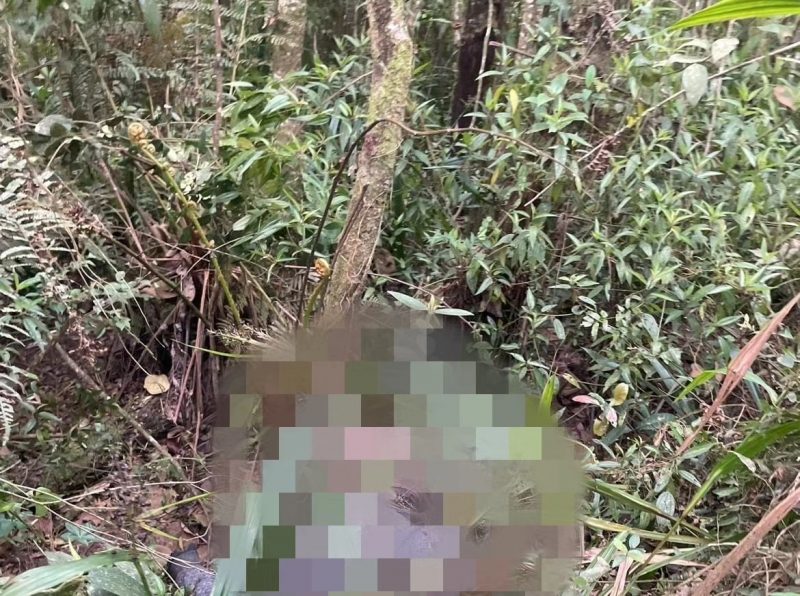 CORPO É ENCONTRADO PERTO DE LINHA FÉRREA EM RIO GRANDE DA SERRA