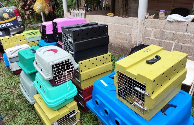 GCM DE SÃO BERNARDO RESGATA AVES VÍTIMAS DE MAUS-TRATOS NO PÓS-BALSA