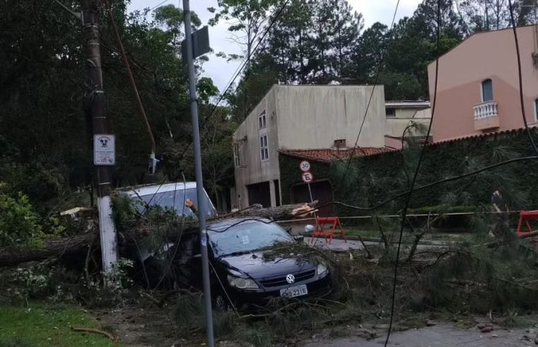 GRAVE: TEMPORAL DEIXA TERRA NOVA 1 SEM ENERGIA E AFETA IDOSOS E FAMÍLIAS