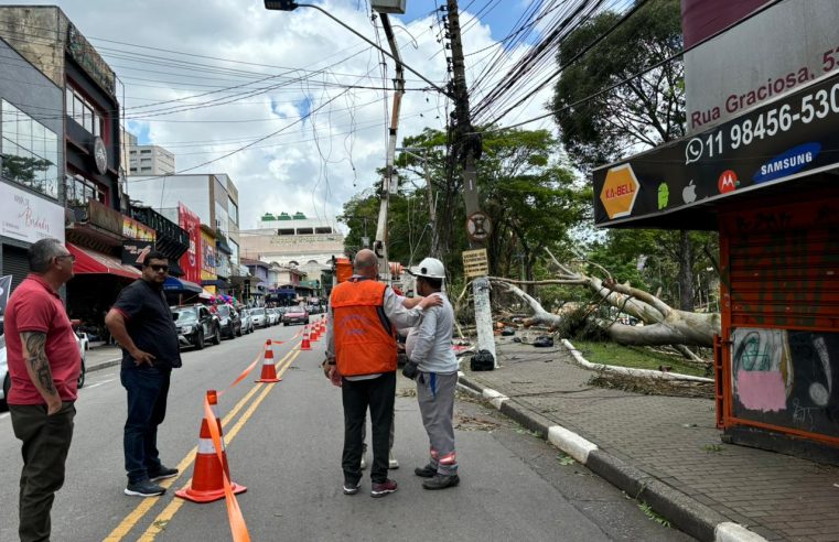 DEFESA CIVIL DE DIADEMA ALERTA PARA RISCO DE CHUVA E FORTE VENTANIA