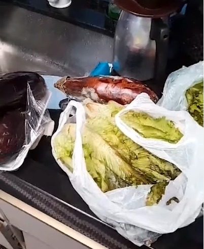 MORADORA MOSTRA ALIMENTOS ESTRAGADOS NO JARDIM CALUX POR FALTA DE ENERGIA APÓS TEMPESTADE