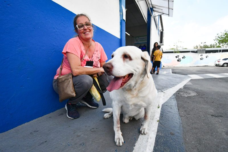 HOSPITAL VETERINÁRIO DE SÃO BERNARDO COMPLETA UM ANO COM 65 MIL PROCEDIMENTOS REALIZADOS