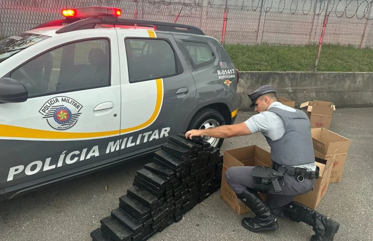 PM RODOVIÁRIA DETÉM HOMEM E APREENDE MAIS DE 150 KG DE MACONHA EM SÃO BERANRDO DO CAMPO