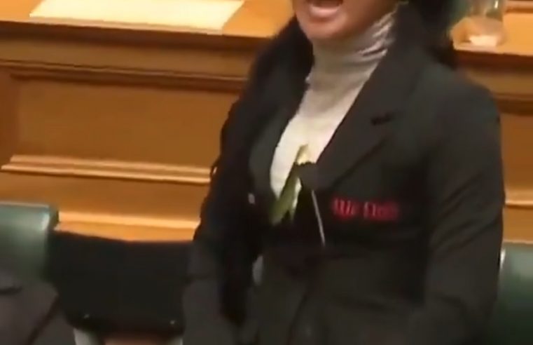 VÍDEO DE HAKA NO PARLAMENTO DA NOVA ZELÂNDIA GANHA REPERCUSSÃO GLOBAL