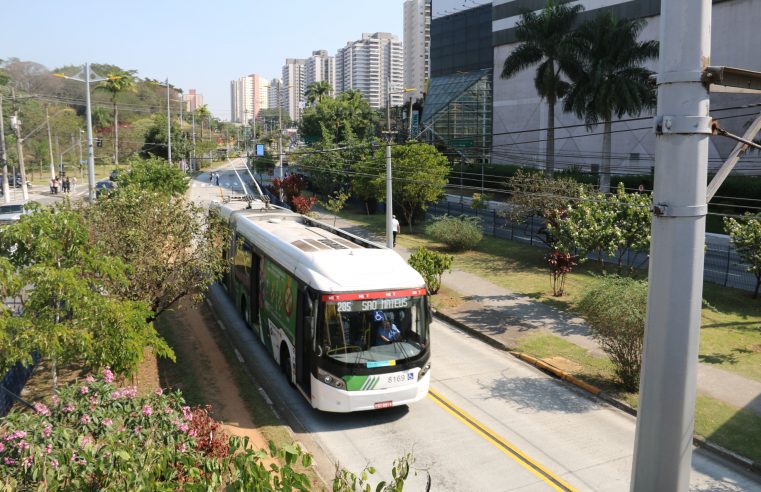 NEXT MOBILIDADE INAUGURA PRIMEIRA FLORESTA URBANA LINEAR DO BRASIL COM PLANTIO DE 600 MUDAS NESTE SÁBADO